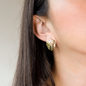Aretes Monstera