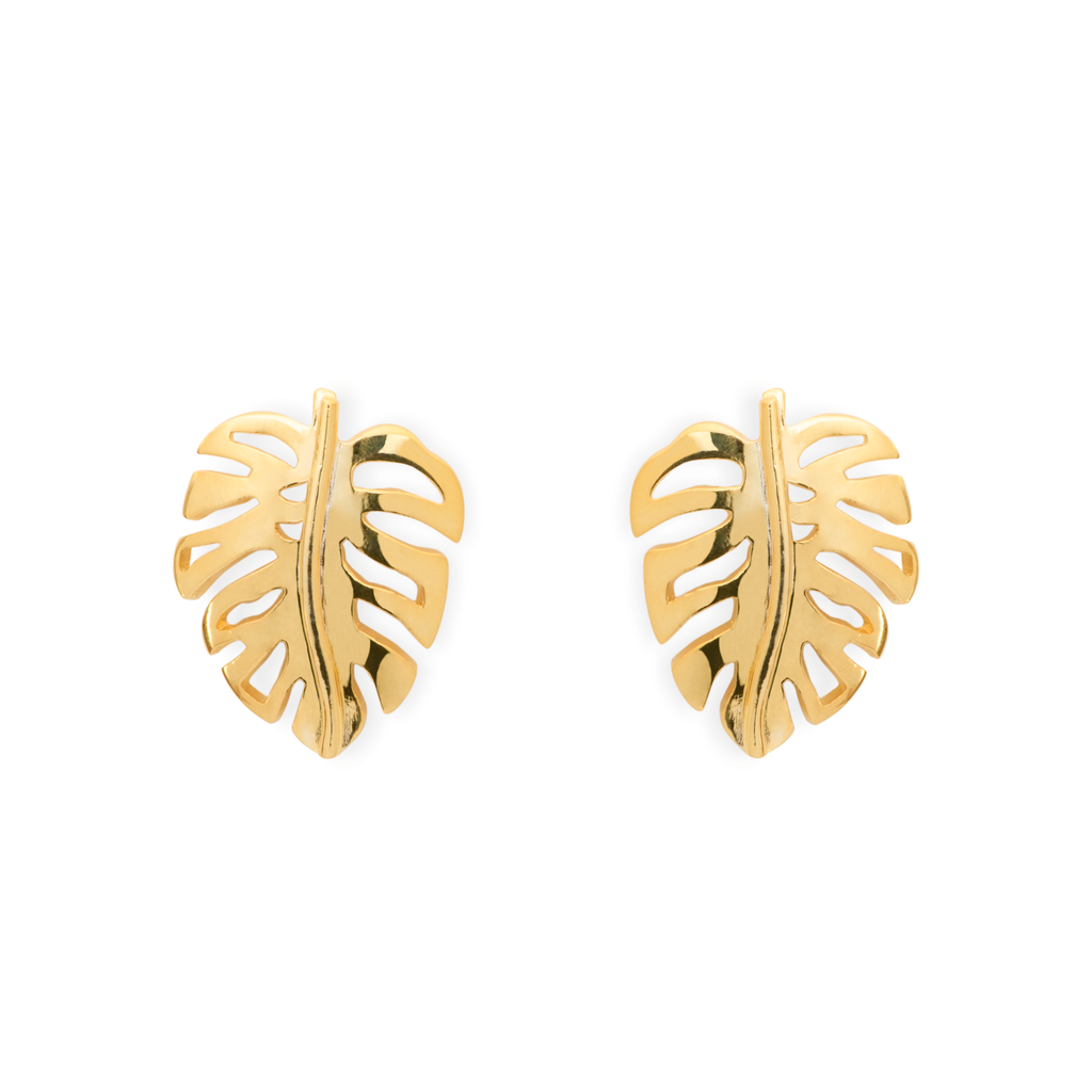 Aretes Monstera