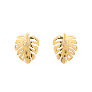 Aretes Monstera