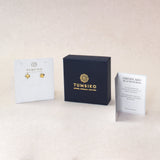 Aretes Monstera