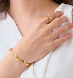 Anillo Semilla