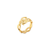 Anillo Continuidad