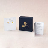 Aretes Remo